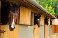 free Bepton stable construction quotes